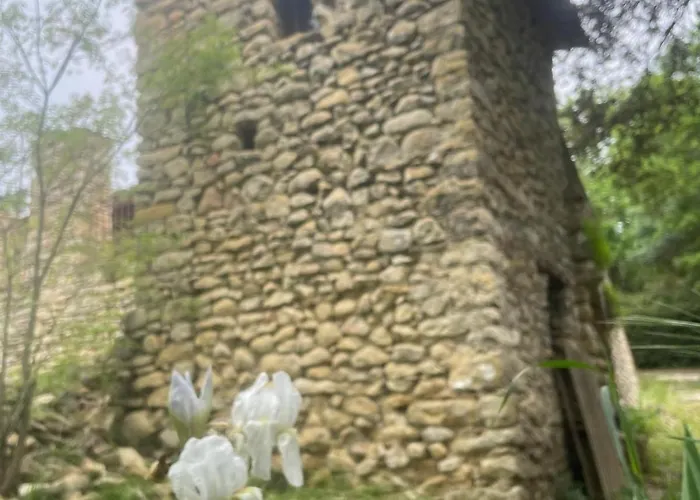 Villa Mas Cevenol Authentique Entierement Renove *